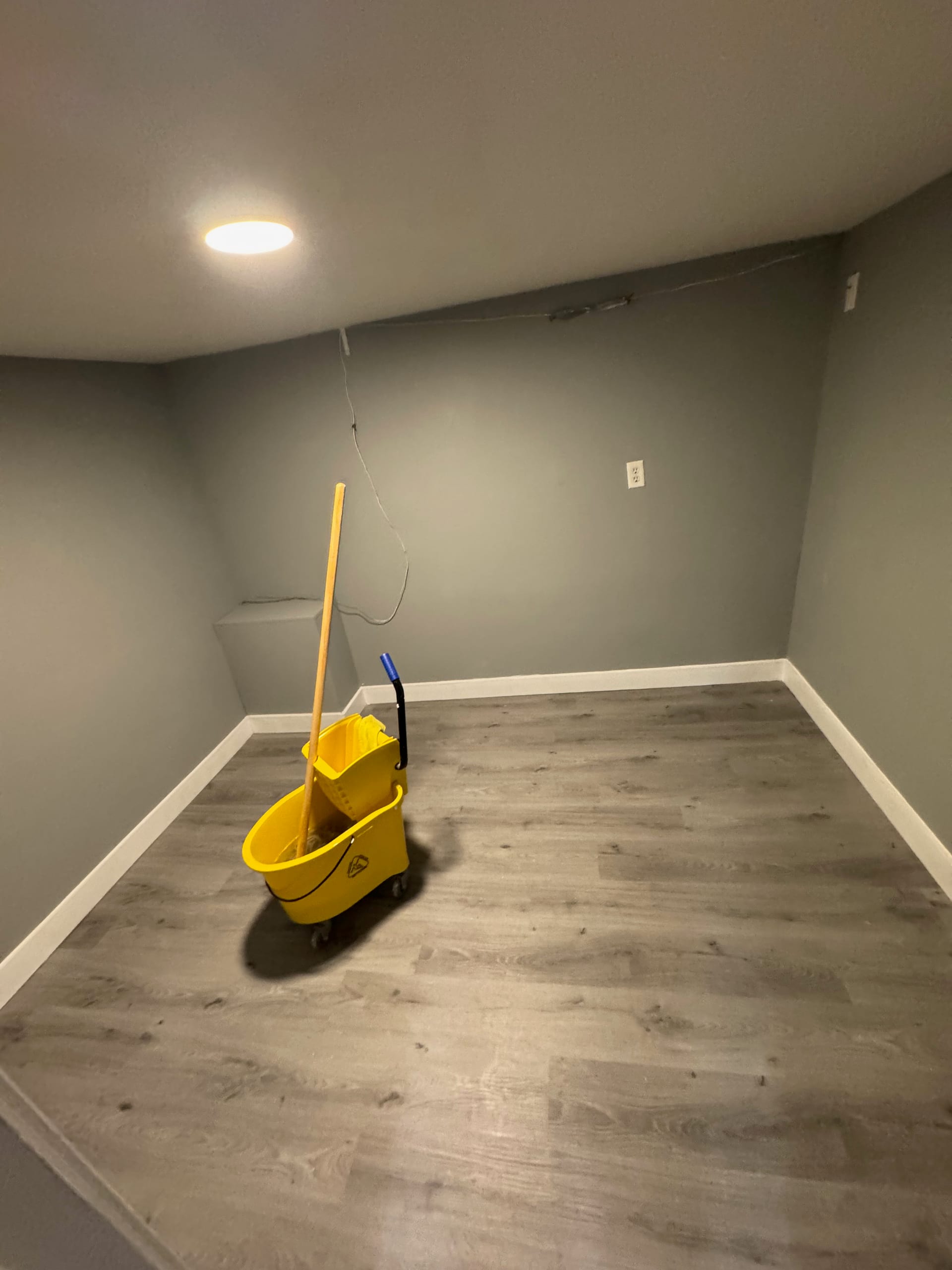Basement Rec Room Flooring Finish